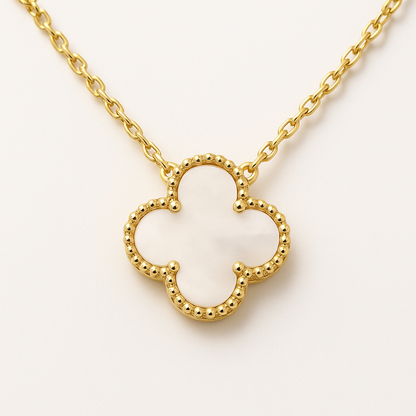 COLLAR CLEEF